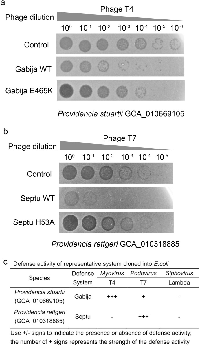 Figure 9