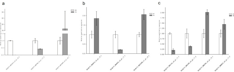 Figure 4