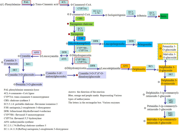 Figure 10