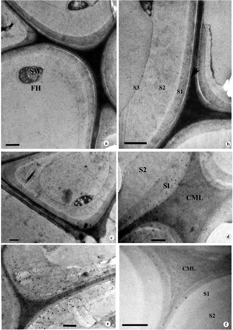 Figure 6