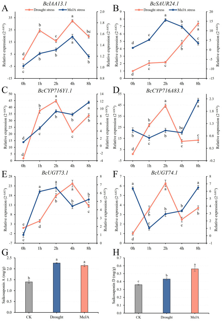 Figure 7