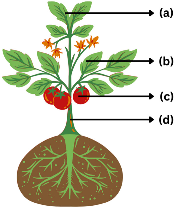 Figure 1