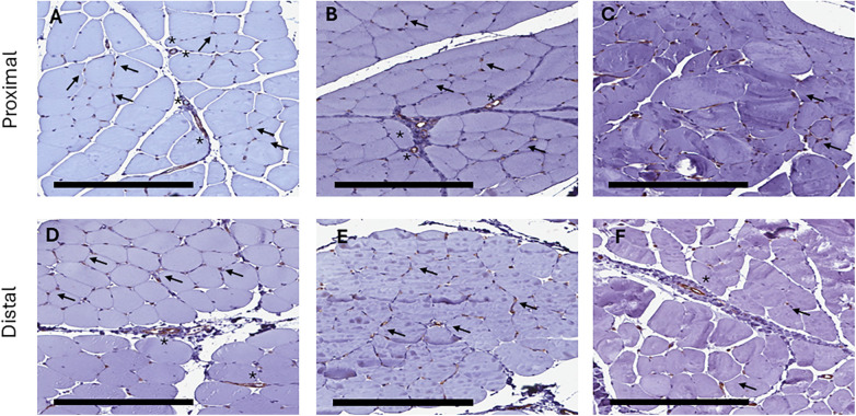 Figure 10