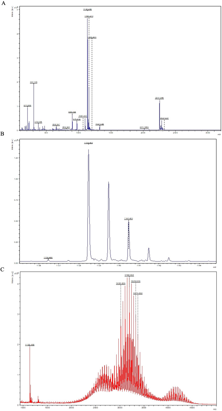 Figure 3
