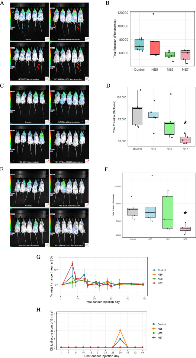 Figure 7