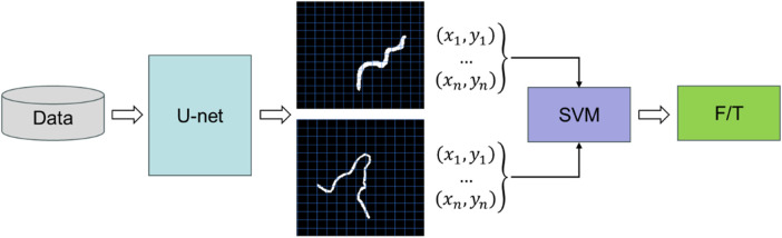 Figure 2