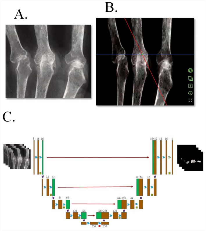 Figure 6