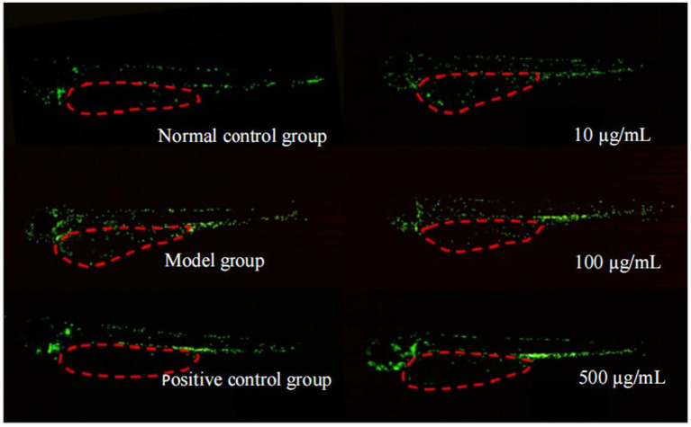 Figure 6