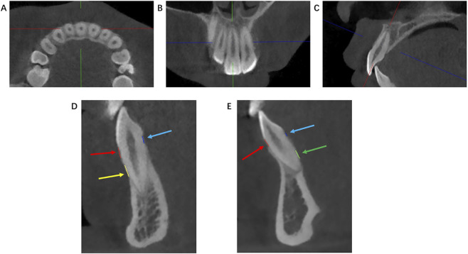 FIGURE 1