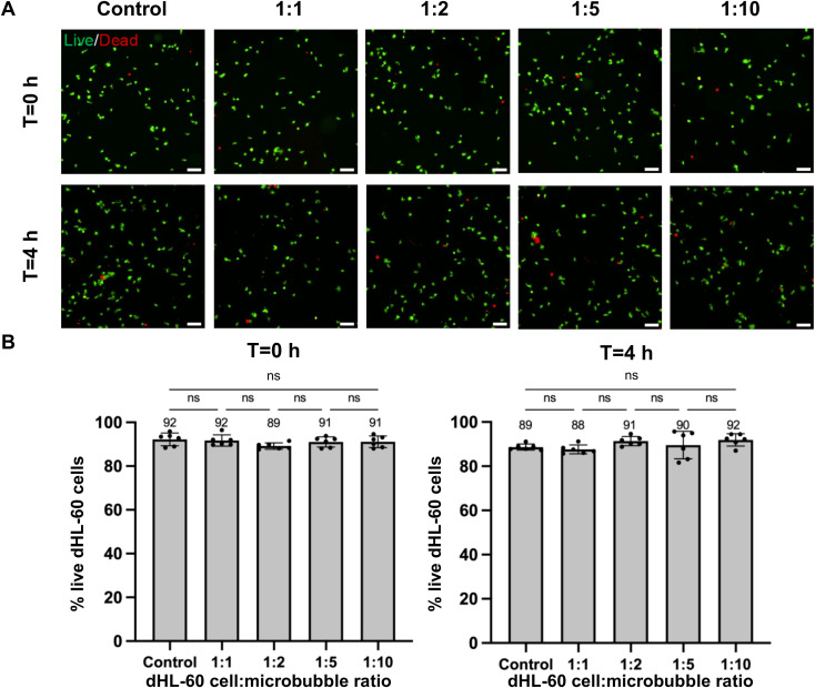 Figure 4