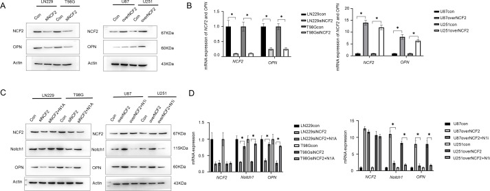 Figure 5
