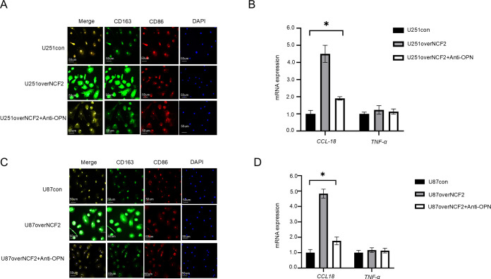 Figure 6