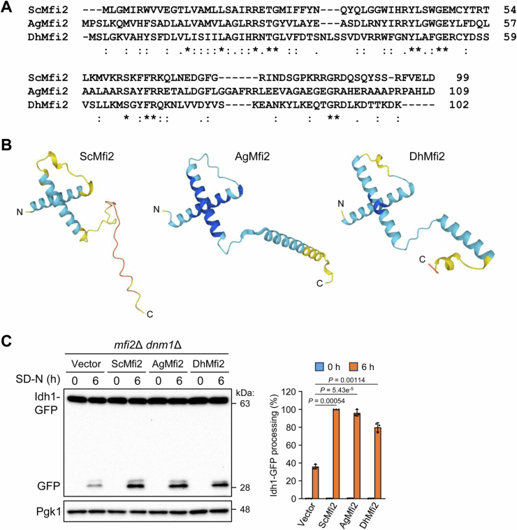 Figure 10