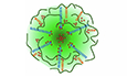 Figure 8