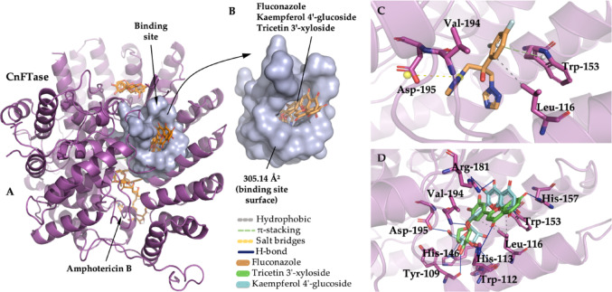 Figure 13
