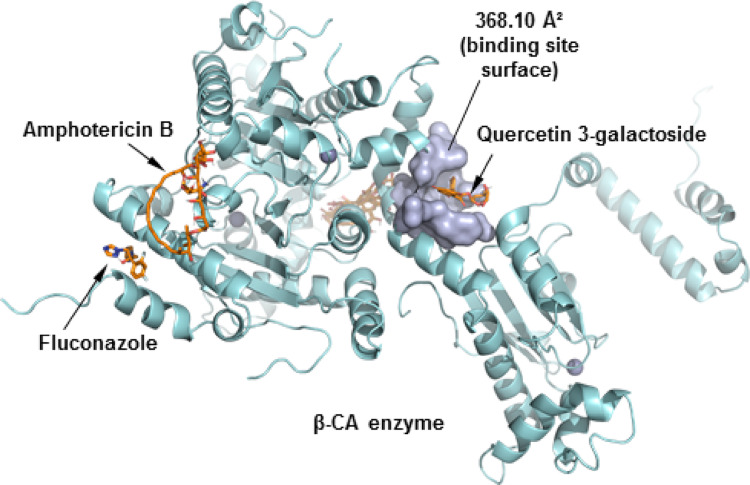 Figure 14