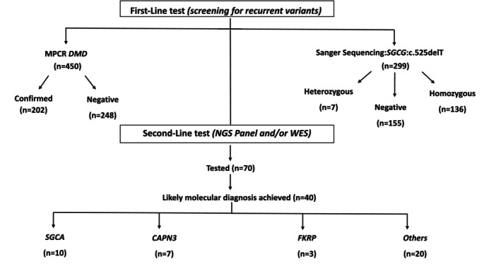 FIGURE 2