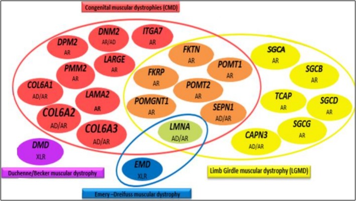 FIGURE 1