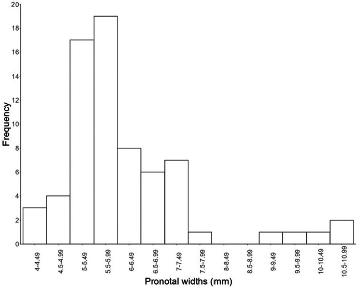 FIGURE 1