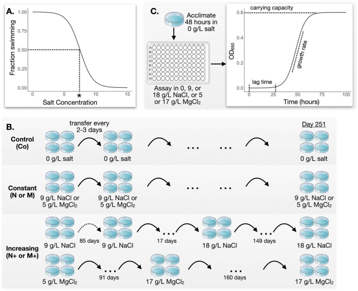 FIGURE 1