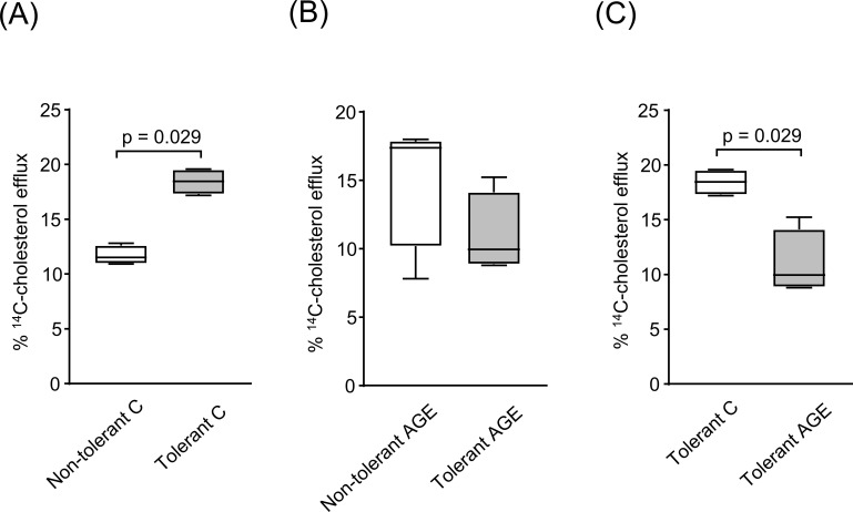 Figure 7