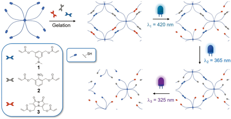 Figure 19