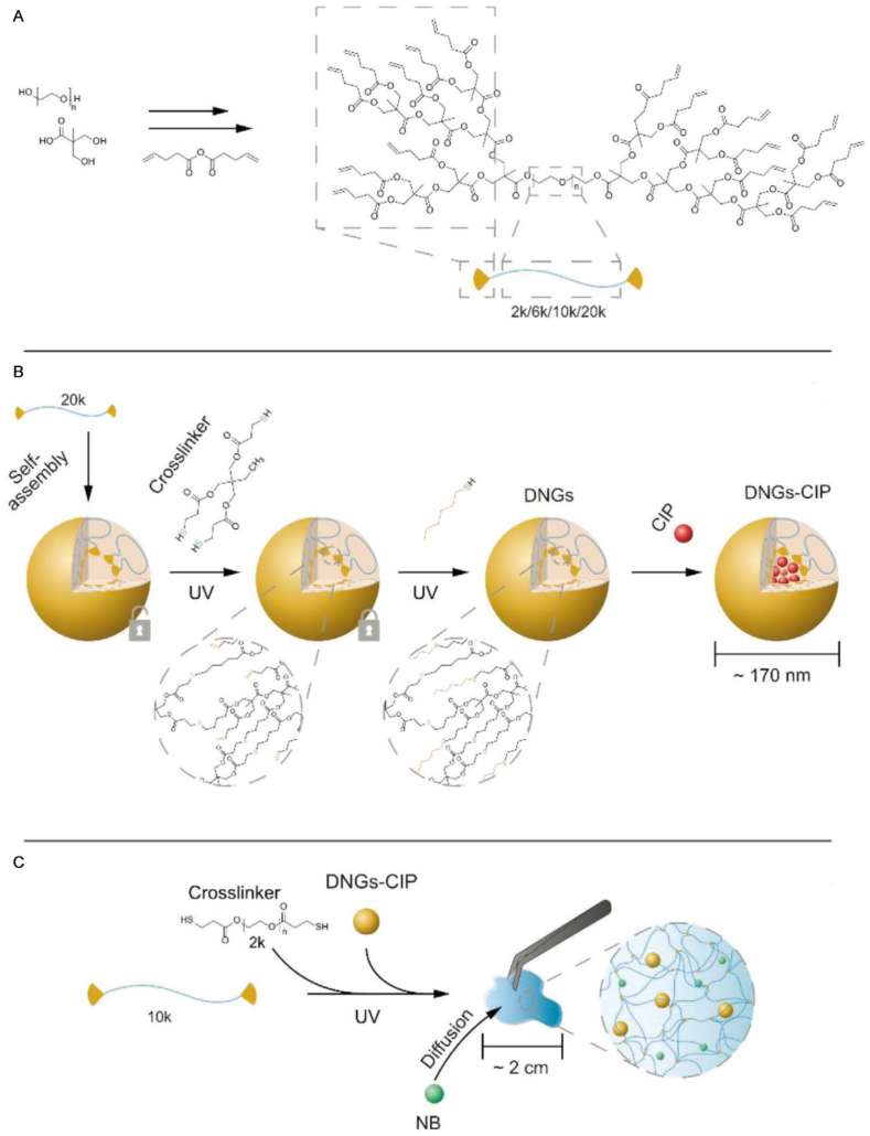 Figure 20