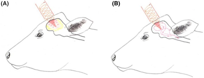 FIGURE 17