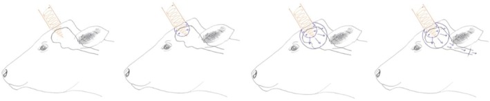 FIGURE 16