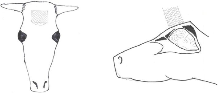 FIGURE 10