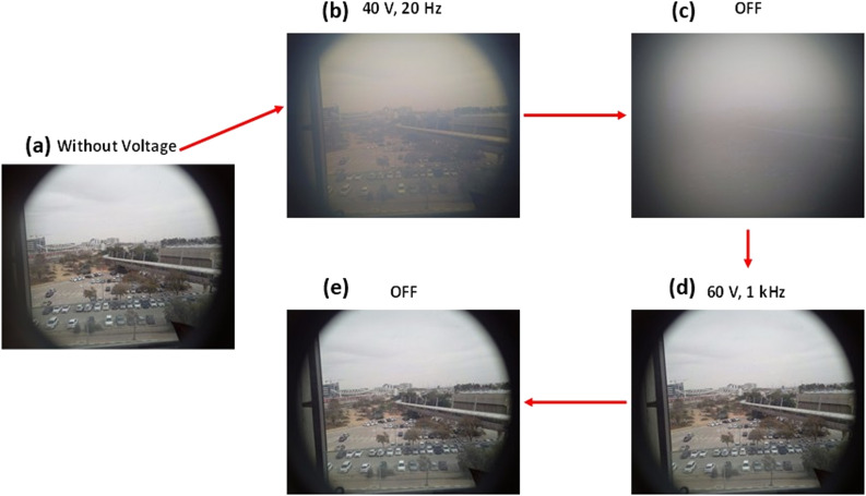 Fig. 6