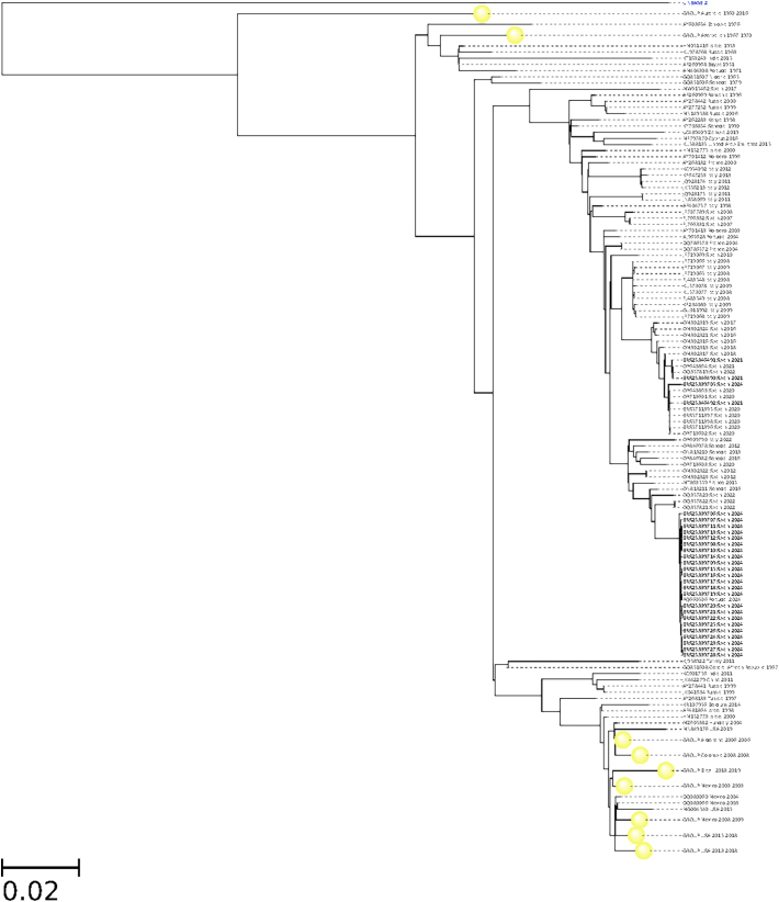 Figure 2