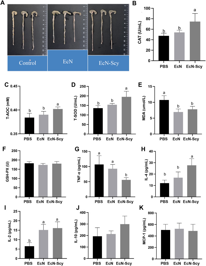 Figure 4