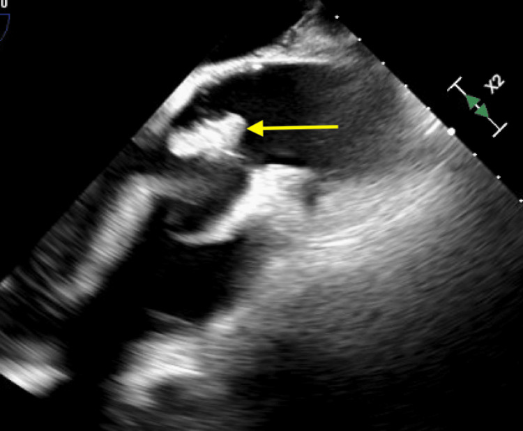 Figure 7