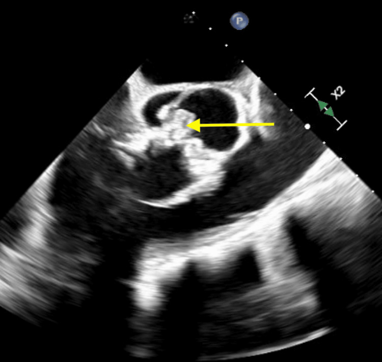 Figure 8