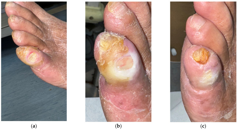 Figure 7