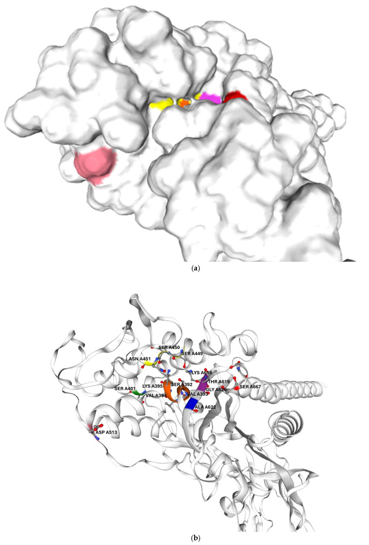 Figure 6