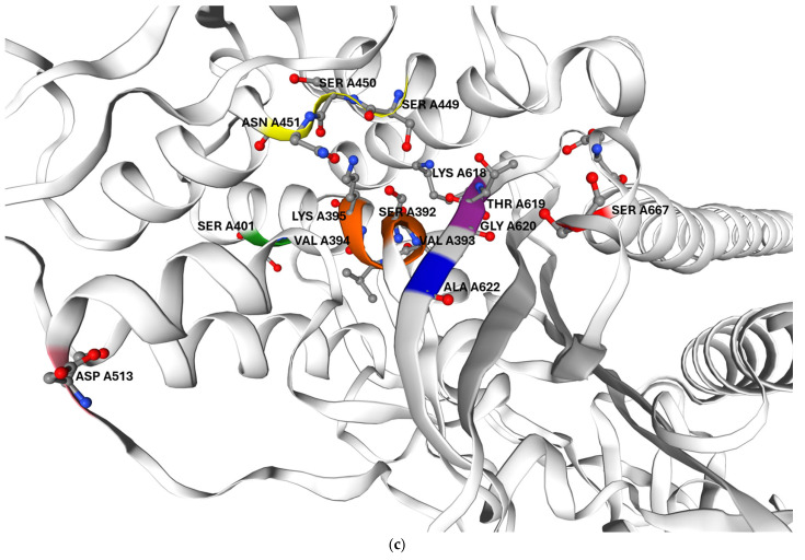Figure 7