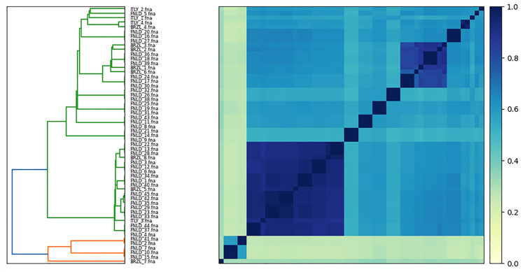 Figure 10
