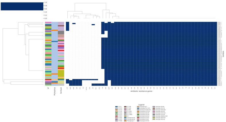 Figure 11