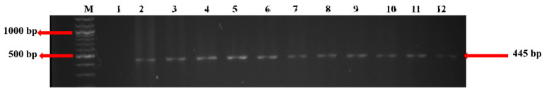 Figure 7