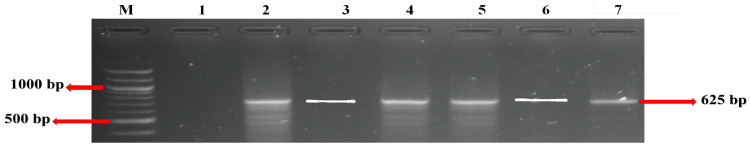 Figure 8