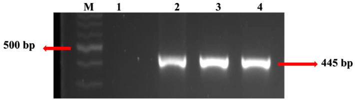 Figure 9