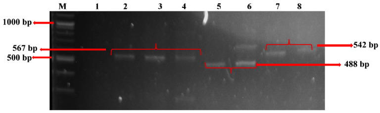 Figure 10