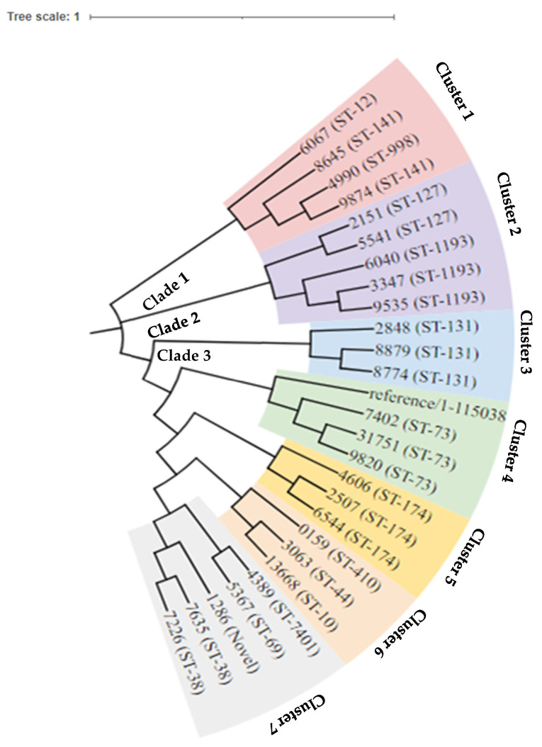 Figure 3