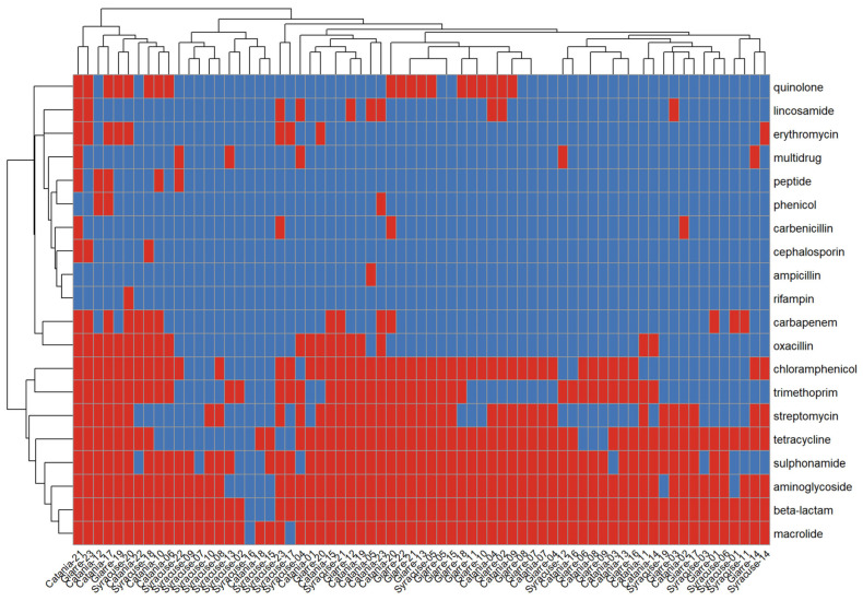 Figure 7