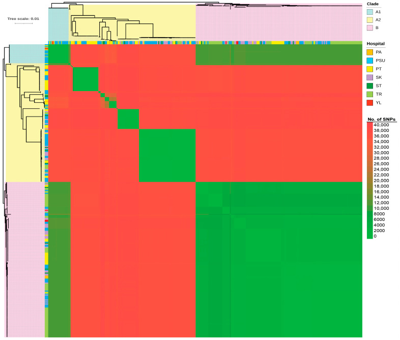 Figure 7