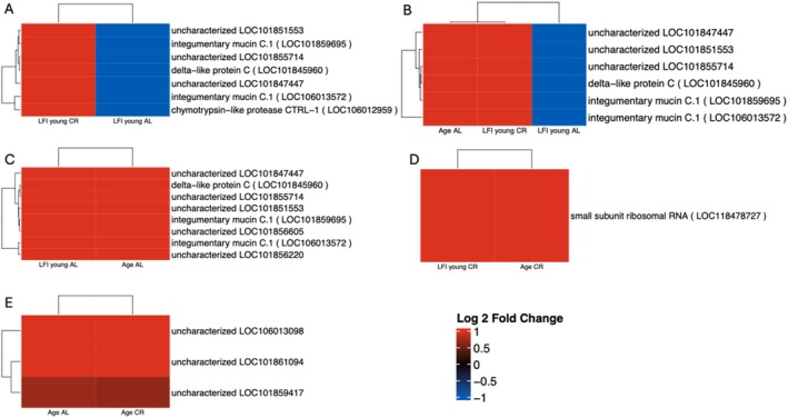 FIGURE 11