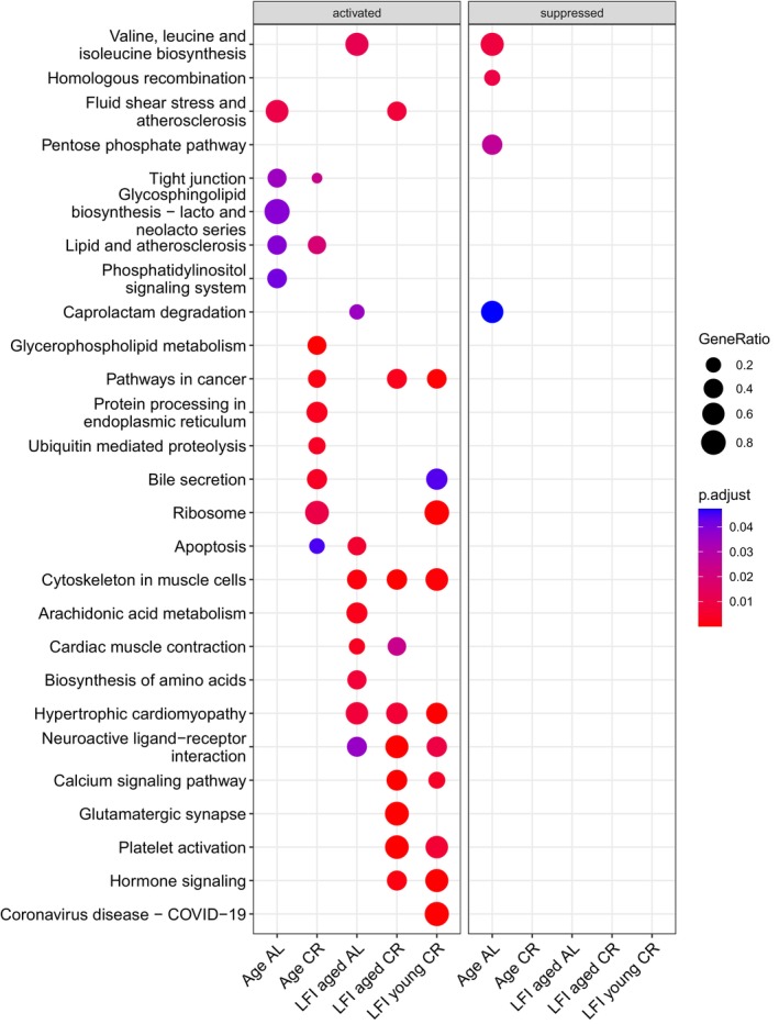 FIGURE 16