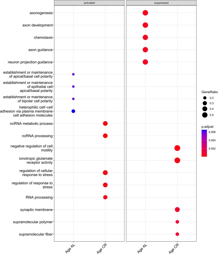 FIGURE 14